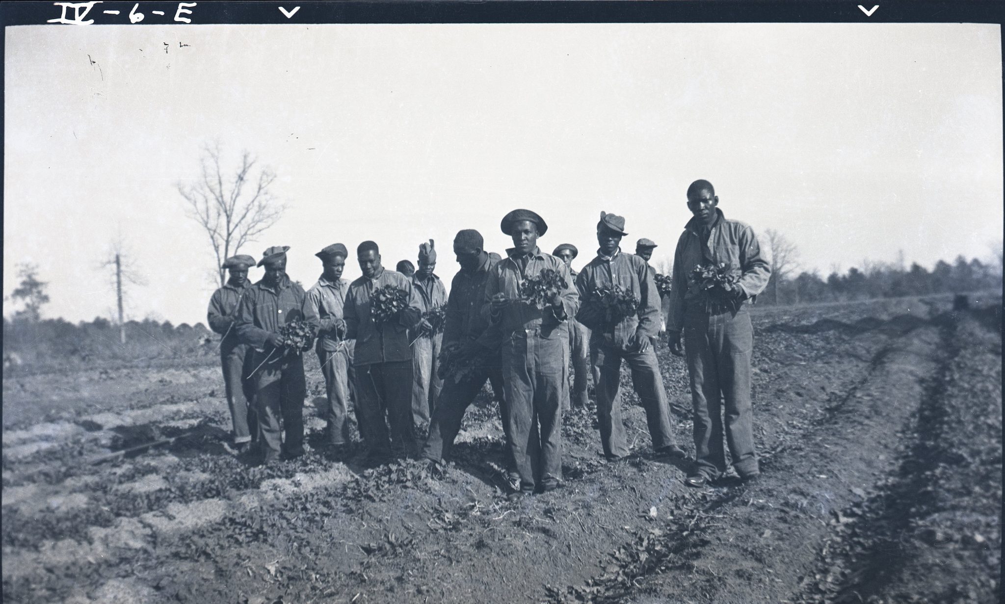 Spotlight Photographs Documenting the Civilian Conservation Corps (CCC